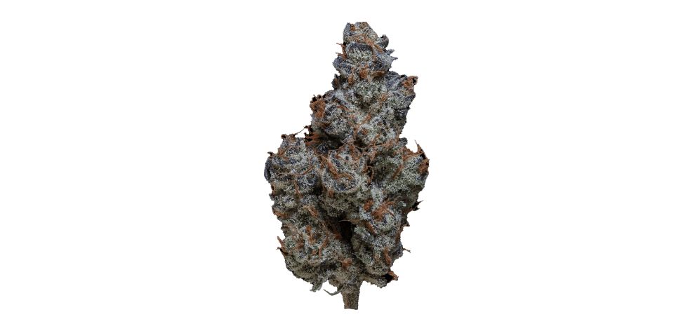 What is the best BC bud online? As mentioned before, your options are limitless. We've asked our loyal customers and even personally tested out the cream of the crop, so here are the top 5 most popular and yummiest BC buds online you have to give a go today!