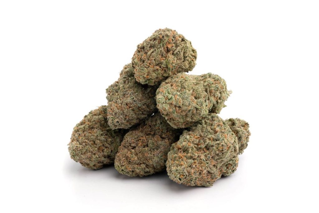 Blue Dream bud strain is one of the most popular strains. Discover its delightful effects, delicious aromas and flavours and decide if it's worth trying