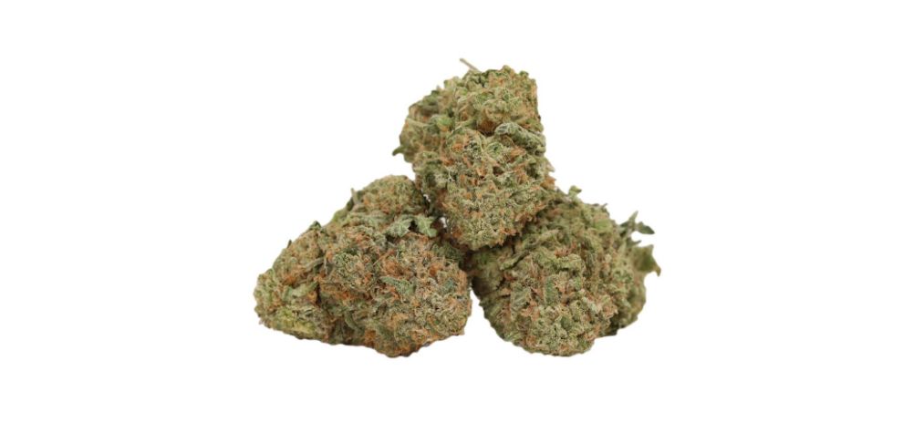 The Blue Dream weed strain is a cross between Blueberry and Haze. These two strains have been in the cannabis space for a very long time and continue to impress enthusiasts today.