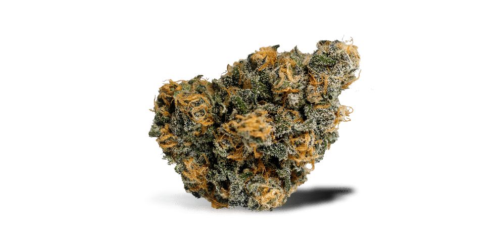 The Blue Dream bud strain produces large, dense, fluffy nugs. These popcorn-shaped buds are primarily light green with deep purple hues.