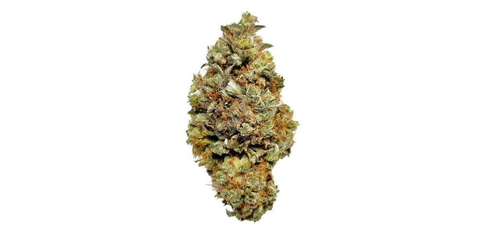 The terpene profile is a crucial consideration when buying weed at an online dispensary in Canada. This is because terpenes do more than just determine the taste and aroma of a cannabis strain, they also influence the overall experience.