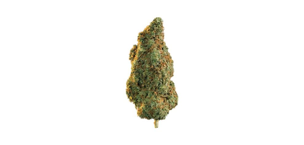 Blue Dream is a pretty well-balanced cannabis hybrid with a 60% sativa to 40% indica ratio. This suggests that you will experience the best of both sides.