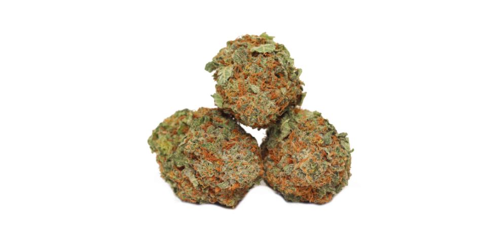 MMJ Express is known for offering premium strains, including the classic Blue Dream bud, at the lowest prices in the market. Order weed from us today and enjoy medical-grade strains without breaking the bank.