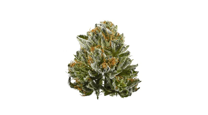 Buy Bubba from our online dispensary in Canada for guaranteed effects. This Indica strain can make you feel relaxed, numb, positive, giggly, calm, and confident.