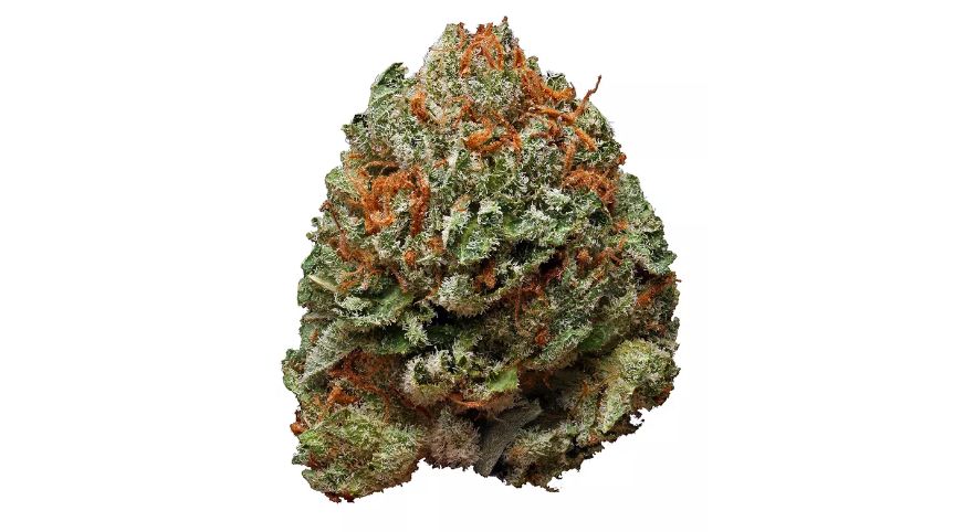 This Indica is ideal for occasional stoners looking for a milder smoke. The Bubba Kush strain contains anywhere from 20 to 25 percent THC, so we can place it in the moderate-to-potent weed category.