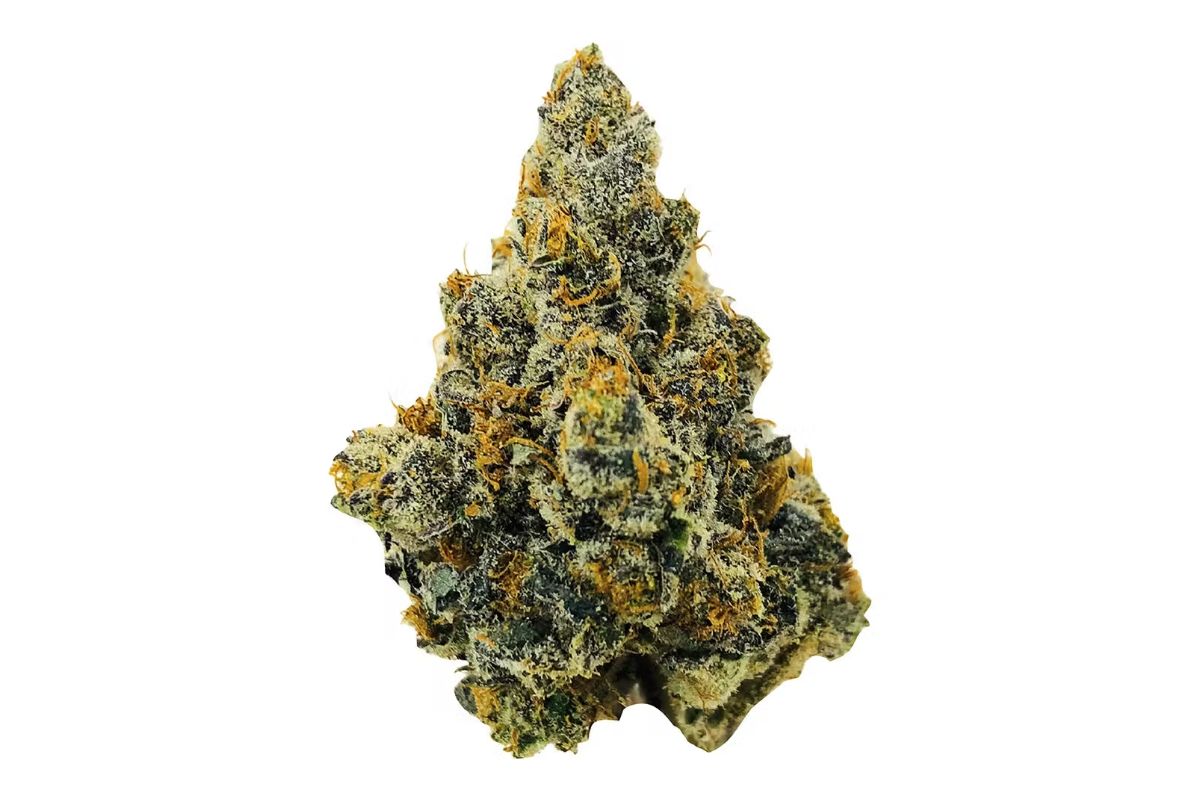 Want to experience pure, potent & flavourful Canadian weed? BC Bud is the real deal! Learn about buy BC Bud online before you visit dispensary. 