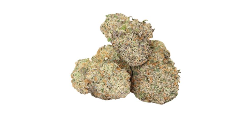 We not only sell weed but give you access to cheap buds without compromising quality. MMJExpress has been in business for years, serving stoners all over Canada. 