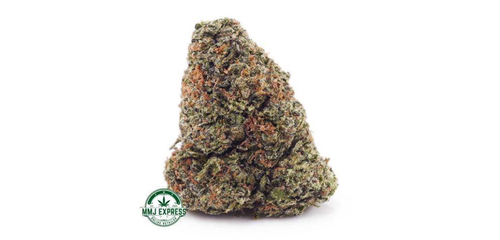 Candy Kush AAA is a top-shelf Indica strain with approximately 60% Indica genetics and 40% Sativa. 