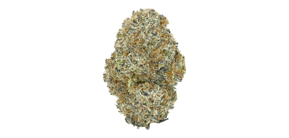 Vancouver BC weed is all about variety. MMJ Express offers the highest-quality and safest online weed, ranging from cannabis flowers to concentrates, edibles, topicals, and more.