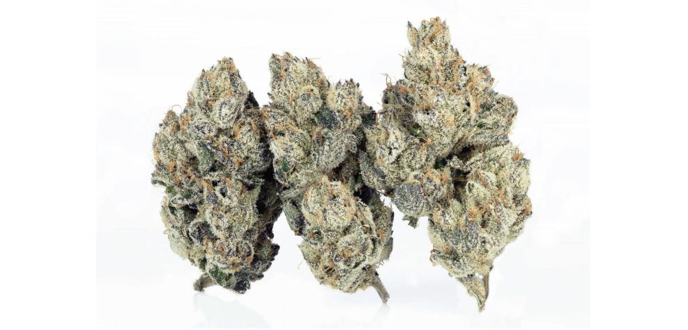 Cannabis strains have unique features you need to consider before trying them out. 