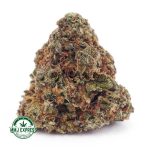 Buy Cannabis Double Diesel AA at MMJ Express Online Shop