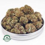 Buy Cannabis Double Diesel AA at MMJ Express Online Shop