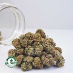 Buy Cannabis Double Diesel AA at MMJ Express Online Shop