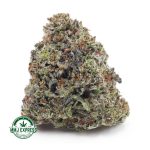 Buy Cannabis Pink Tuna AAAA at MMJ Express Online Shop