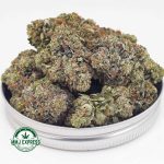 Buy Cannabis Pink Tuna AAAA at MMJ Express Online Shop