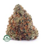 Buy Cannabis Sour Diesel AA at MMJ Express Online Shop