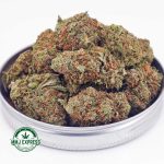 Buy Cannabis Sour Diesel AA at MMJ Express Online Shop