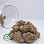 Buy Cannabis Sour Diesel AA at MMJ Express Online Shop