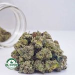 Buy Cannabis Platinum Pink AAAA (Popcorn Nugs) at MMJ Express Online Shop