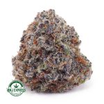 Buy Cannabis Bluefin Tuna AAA at MMJ Express Online Shop