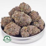 Buy Cannabis Bluefin Tuna AAA at MMJ Express Online Shop