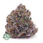 Buy Cannabis Grape Stomper AAAA at MMJ Express Online Shop