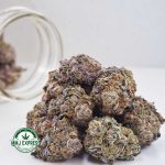 Buy Cannabis Grape Stomper AAAA at MMJ Express Online Shop