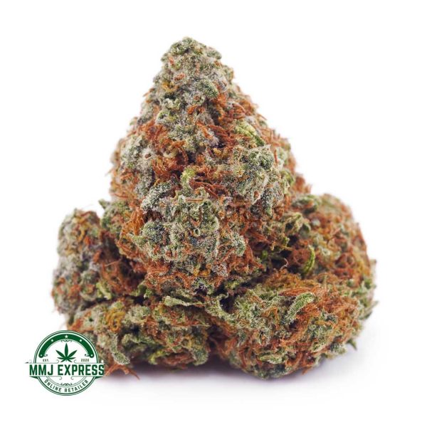 Buy Cannabis Super Skunk AA at MMJ Express Online Shop