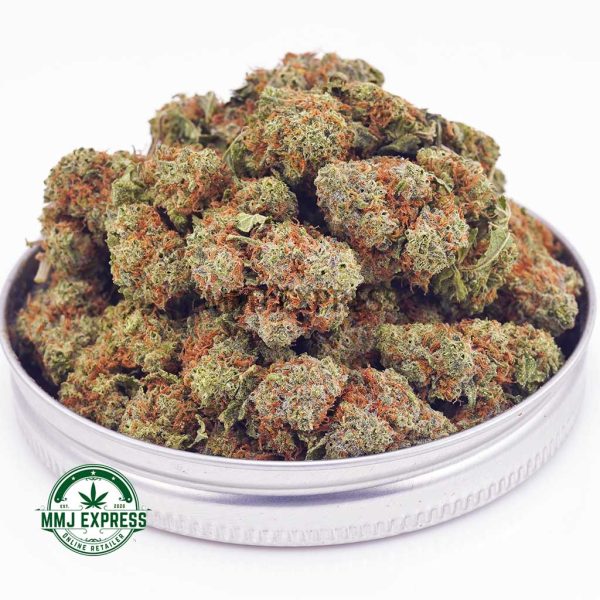 Buy Cannabis Super Skunk AA at MMJ Express Online Shop