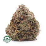 Buy Cannabis Runtz AA at MMJ Express Online Shop