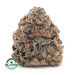 Buy Cannabis Forum Cut Cookies AA at MMJ Express Online Shop