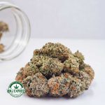 Buy Cannabis Forum Cut Cookies AA at MMJ Express Online Shop