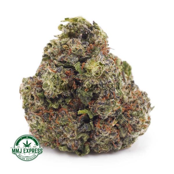 Buy Cannabis Purple Punch AA at MMJ Express Online Shop