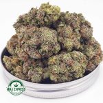 Buy Cannabis Purple Punch AA at MMJ Express Online Shop