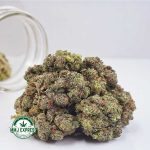 Buy Cannabis Purple Punch AA at MMJ Express Online Shop