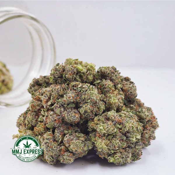 Buy Cannabis Purple Punch AA at MMJ Express Online Shop