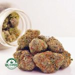 Buy Cannabis Wedding Crasher AAAA at MMJ Express Online Shop