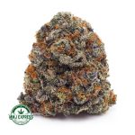 Buy Cannabis Purple Biscotti AAAA at MMJ Express Online Shop