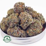 Buy Cannabis Purple Biscotti AAAA at MMJ Express Online Shop