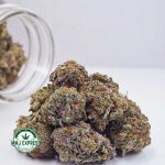 Buy Cannabis Purple Biscotti AAAA at MMJ Express Online Shop