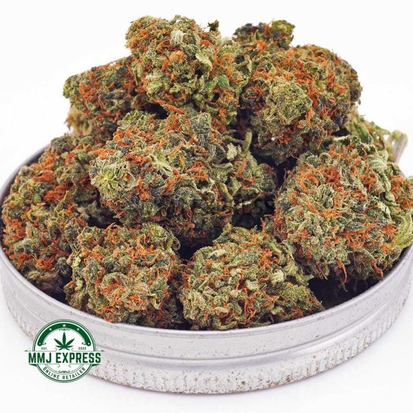 Buy Cannabis Purple Crack AA at MMJ Express Online Shop