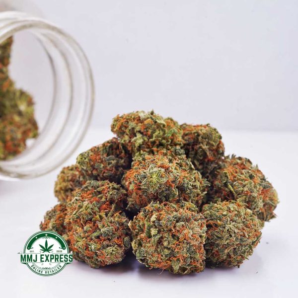 Buy Cannabis Purple Crack AA at MMJ Express Online Shop