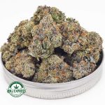 Buy Cannabis Zombie Kush AAAA at MMJ Express Online Shop