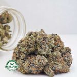 Buy Cannabis Zombie Kush AAAA at MMJ Express Online Shop