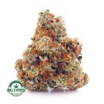 Buy Cannabis Biscotti Pie AAA at MMJ Express Online Shop