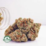 Buy Cannabis Biscotti Pie AAA at MMJ Express Online Shop