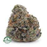 Buy Cannabis Pink Kush AAA at MMJ Express Online Shop