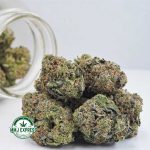 Buy Cannabis Pink Kush AAA at MMJ Express Online Shop