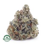 Buy Cannabis White Rhino AAA at MMJ Express Online Shop