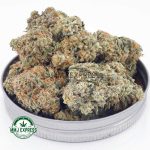 Buy Cannabis White Rhino AAA at MMJ Express Online Shop